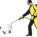 Pest control services Greater Noida