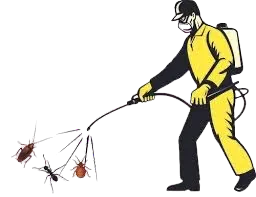 Pest control services Greater Noida