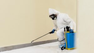 Pest Control Services In Delhi