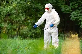Pest Control Services in Meerut