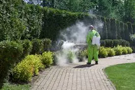 Fogging Periwinkle