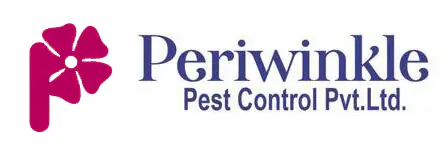 Periwinkle - Pest control services in Greater Noida