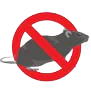 Rodent control in Greater Noida, Ghaziabad
