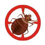 Bed bug extermination in Greater Noida