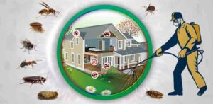 Pest Control Services in Gurugram