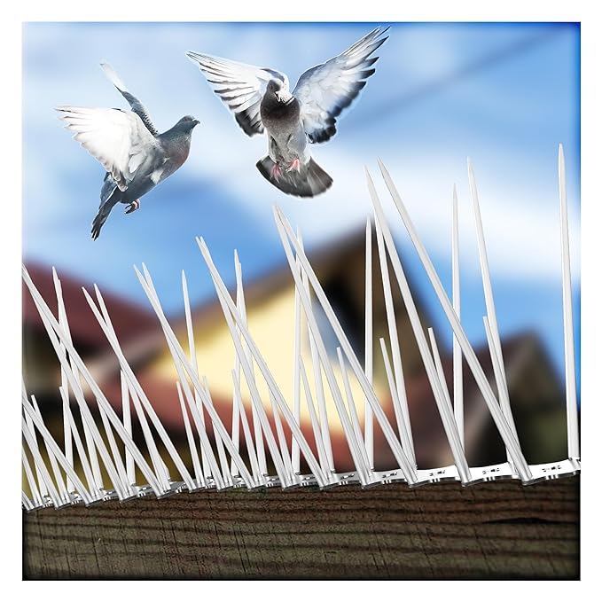 bird-spikes Control