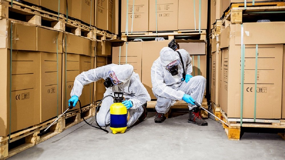 Pest Control Services in Noida