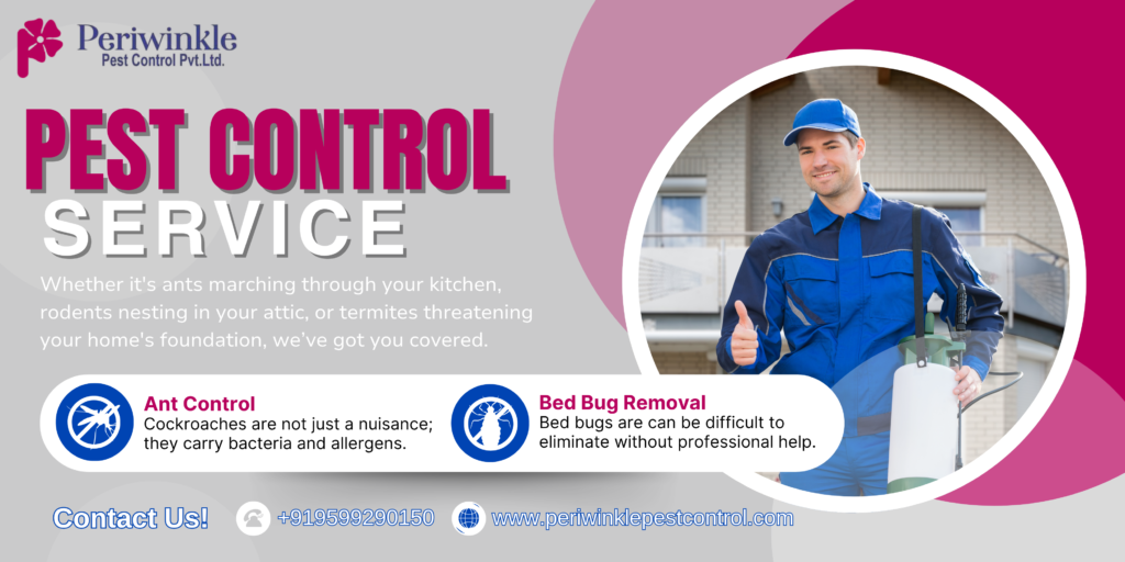 pest control near me