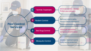 Post-Construction Termite Treatment