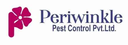 Periwinkle - Pest control services in Greater Noida