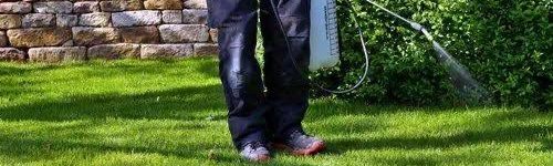 Pest Control Services in Gurgaon