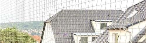 Pest Control Services Greater Noida West
