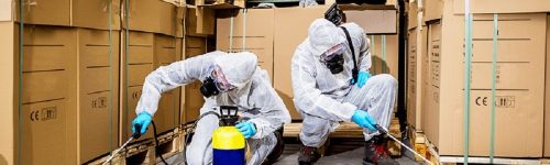 Pest Control Services in Noida