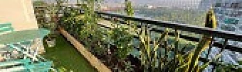 Bird Netting Services